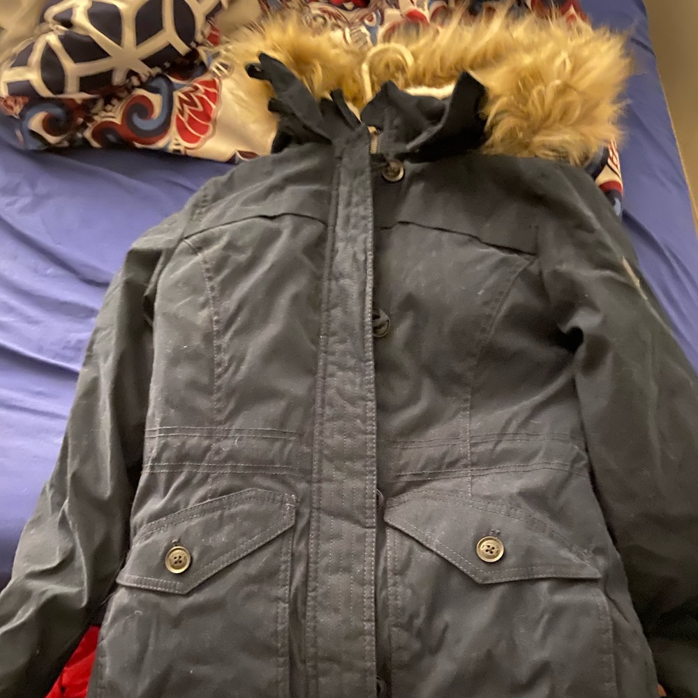 Hollister coat , navy blue